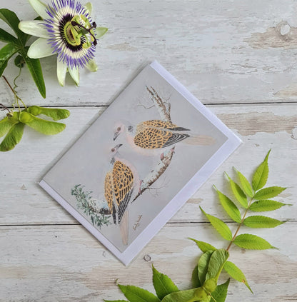 Two Turtle Doves - Greetings Card - At the Cherry Tree