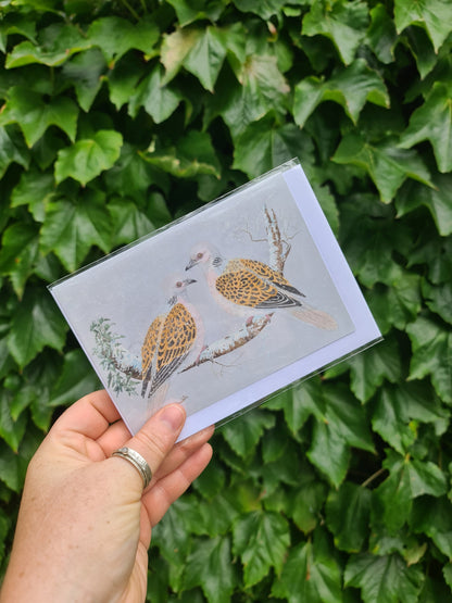 Two Turtle Doves - Greetings Card - At the Cherry Tree