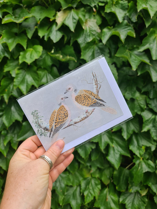 Two Turtle Doves - Greetings Card - At the Cherry Tree