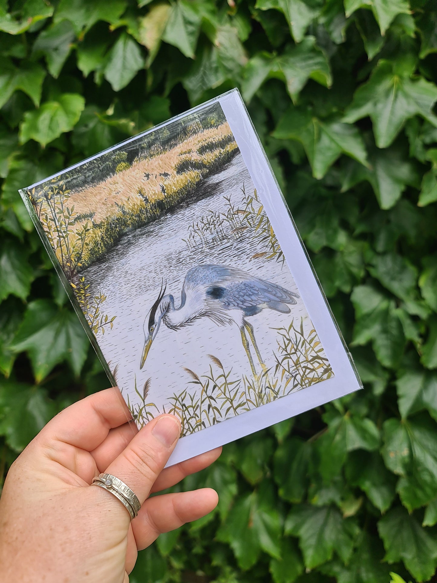 Wading Heron - Greetings Card - At the Cherry Tree