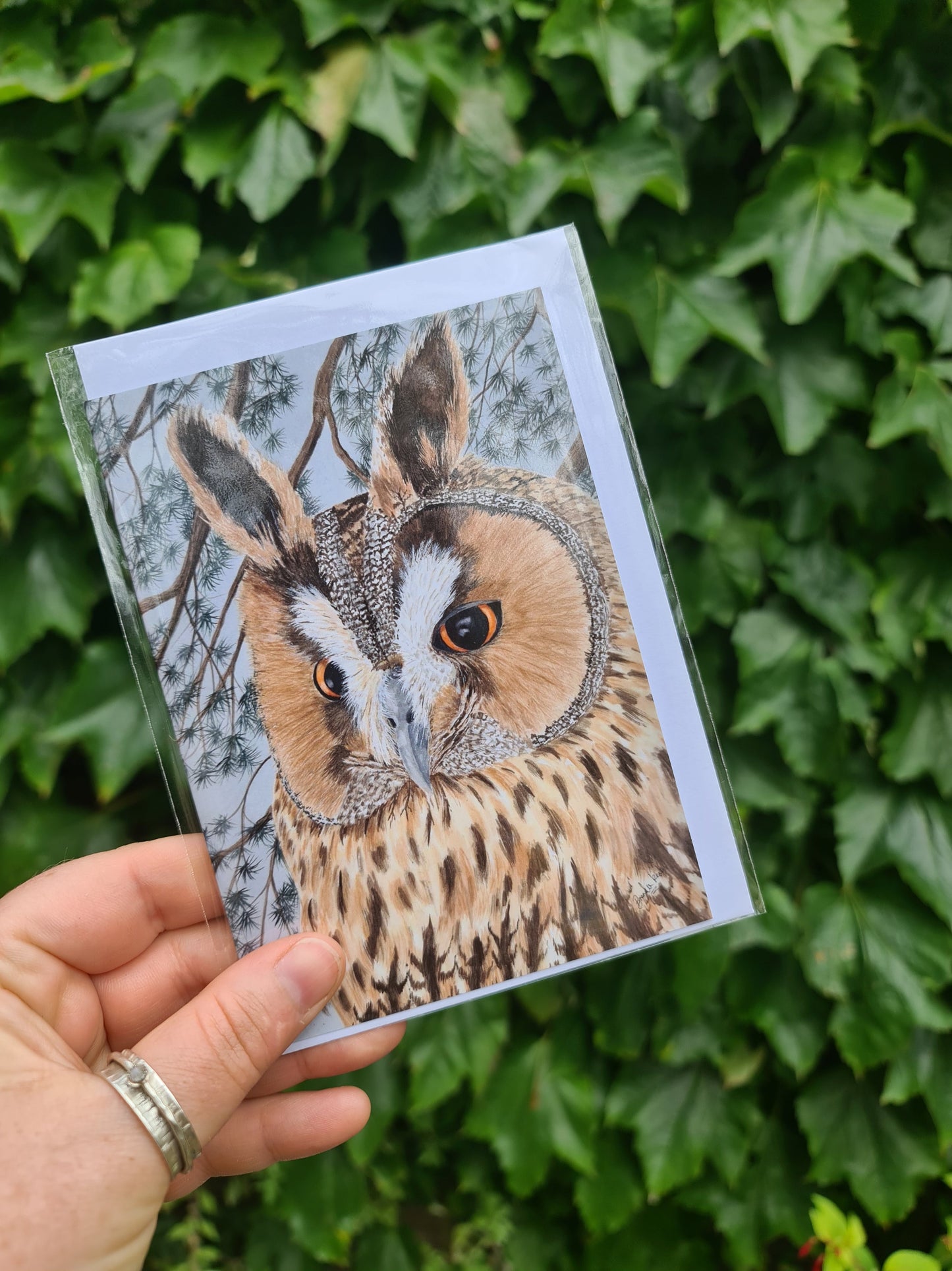 Watching - Greetings Card - At the Cherry Tree