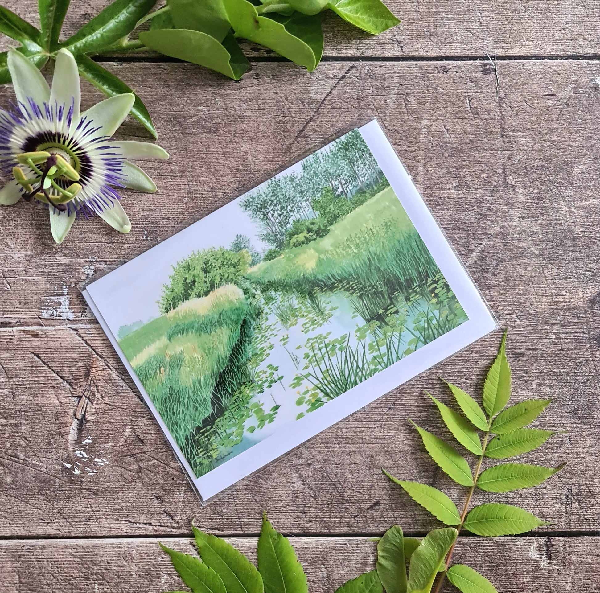Waterlillies - Greetings Card - At the Cherry Tree