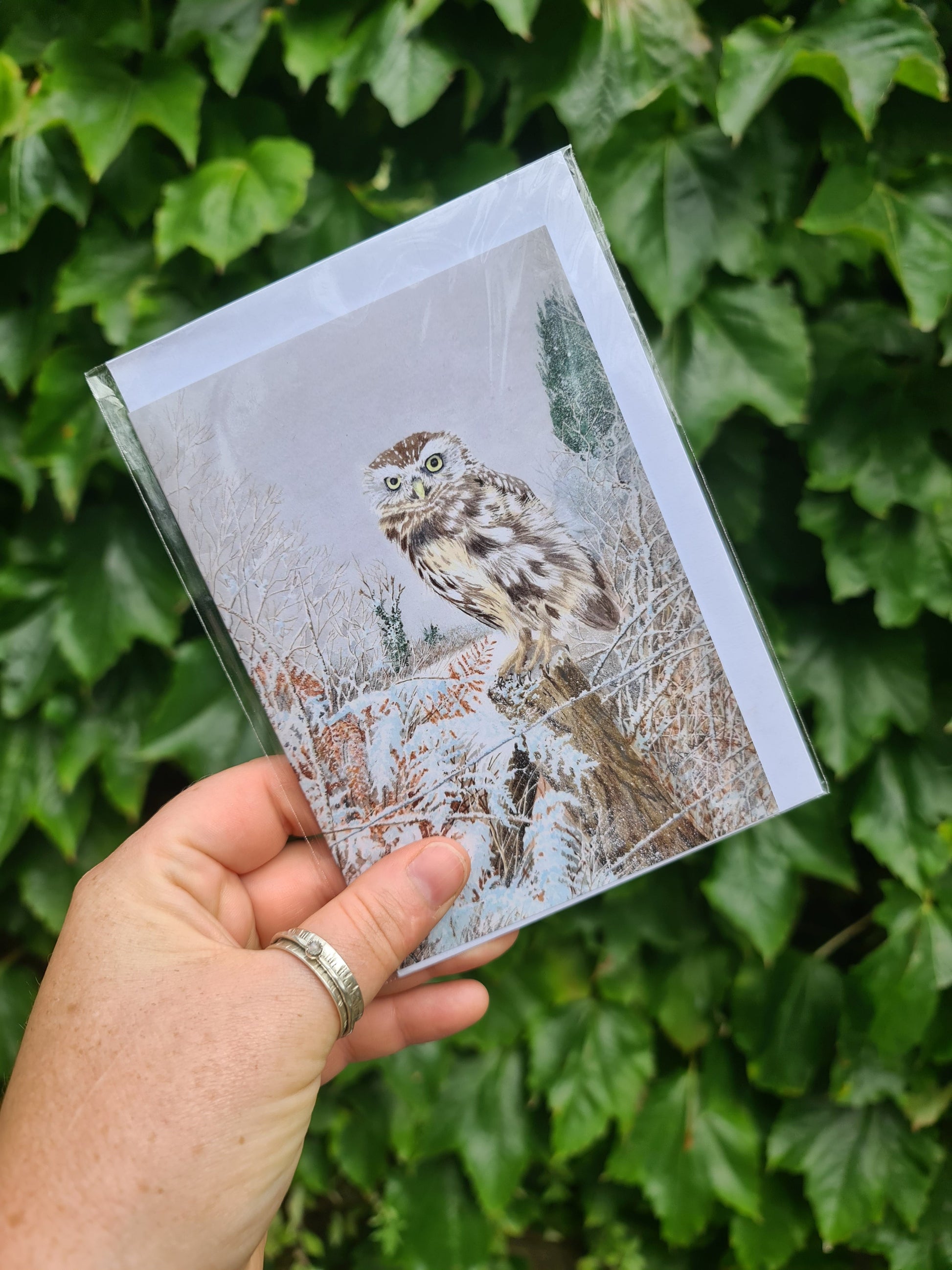 Winter Chill - Greetings Card - At the Cherry Tree