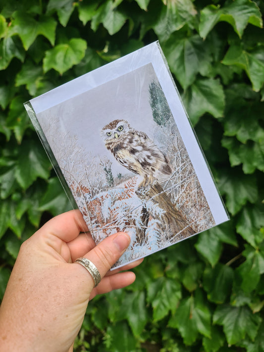 Winter Chill - Greetings Card - At the Cherry Tree