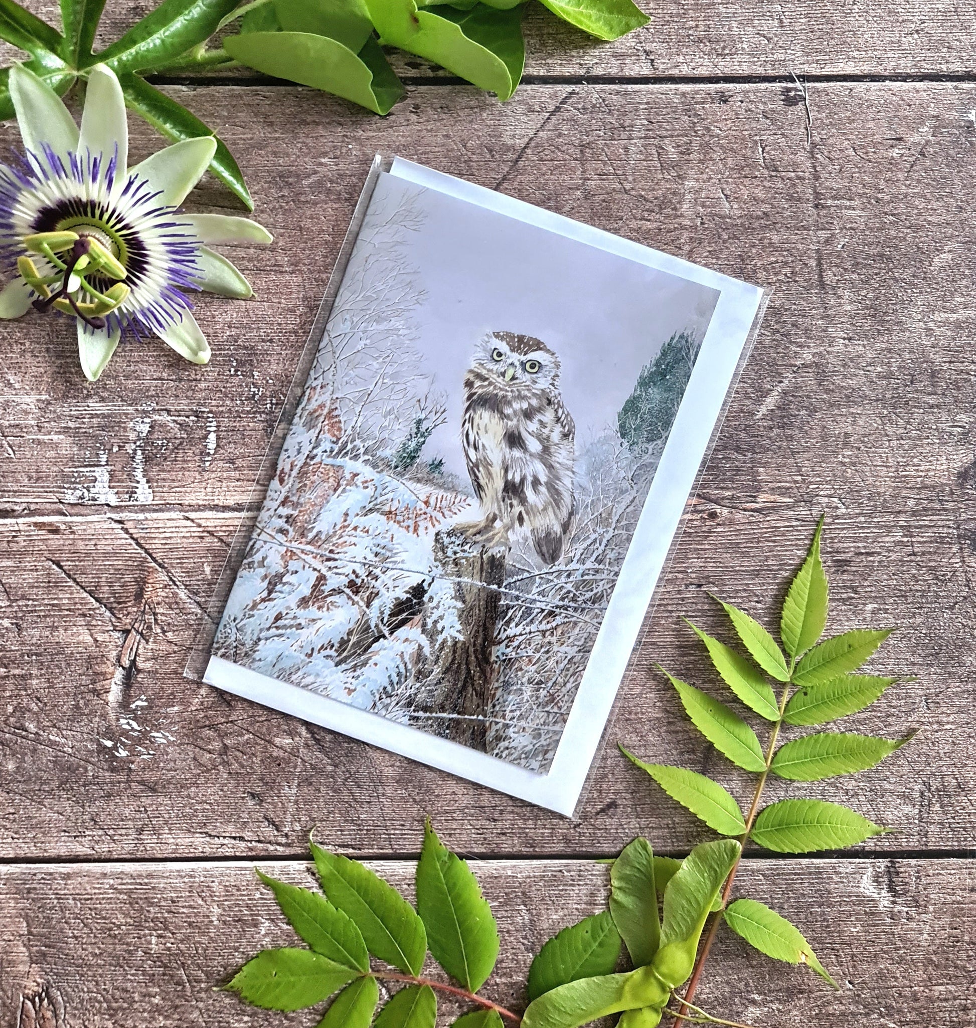 Winter Chill - Greetings Card - At the Cherry Tree