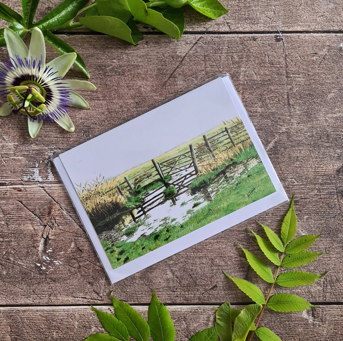 Winter Marsh - Greetings Card - At the Cherry Tree