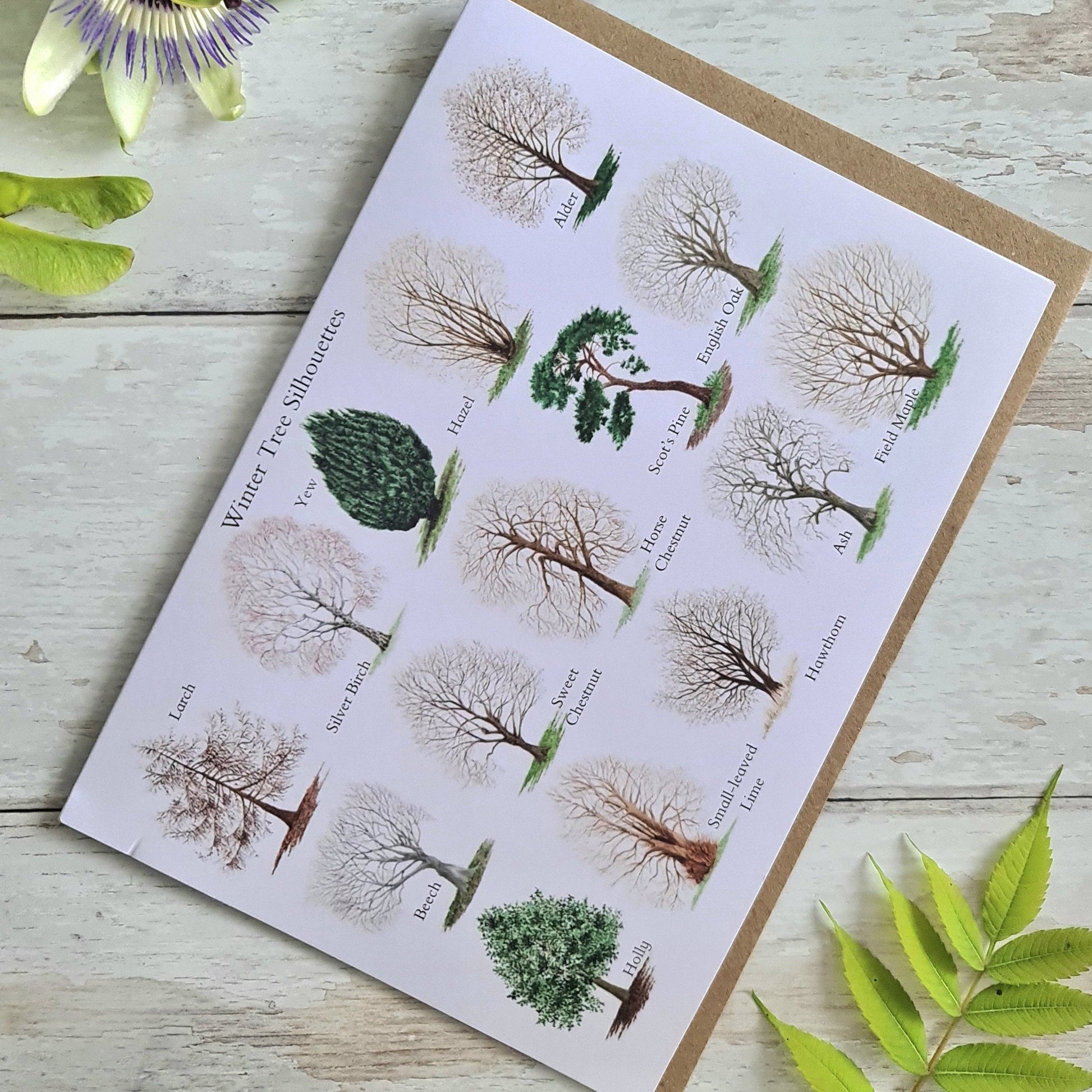 Winter Trees - Greetings Card - At the Cherry Tree