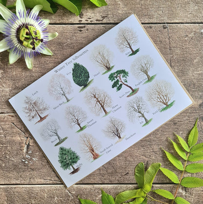 Winter Trees - Greetings Card - At the Cherry Tree