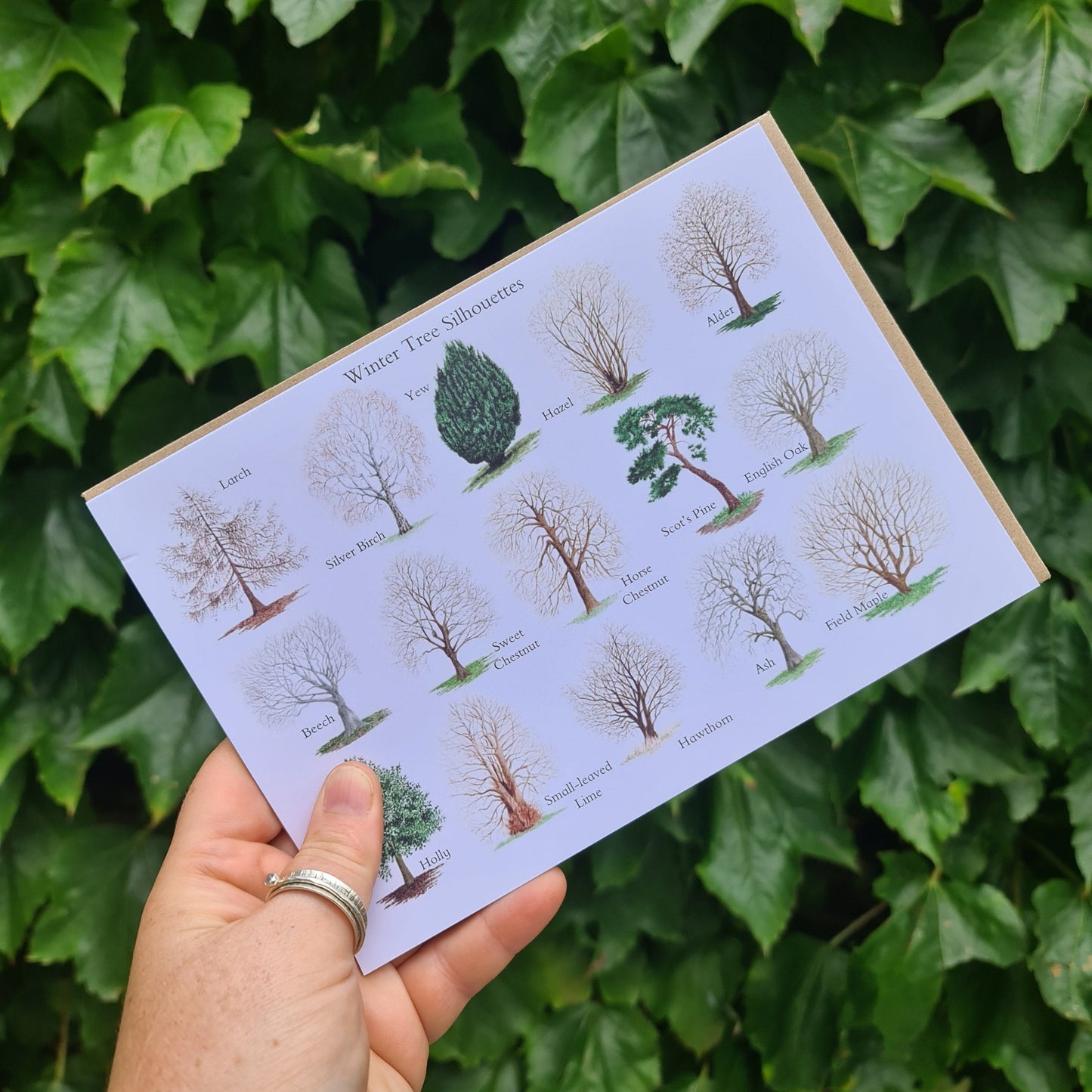 Winter Trees - Greetings Card - At the Cherry Tree