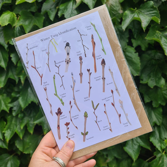 Winter Twig ID - Greetings Card - At the Cherry Tree