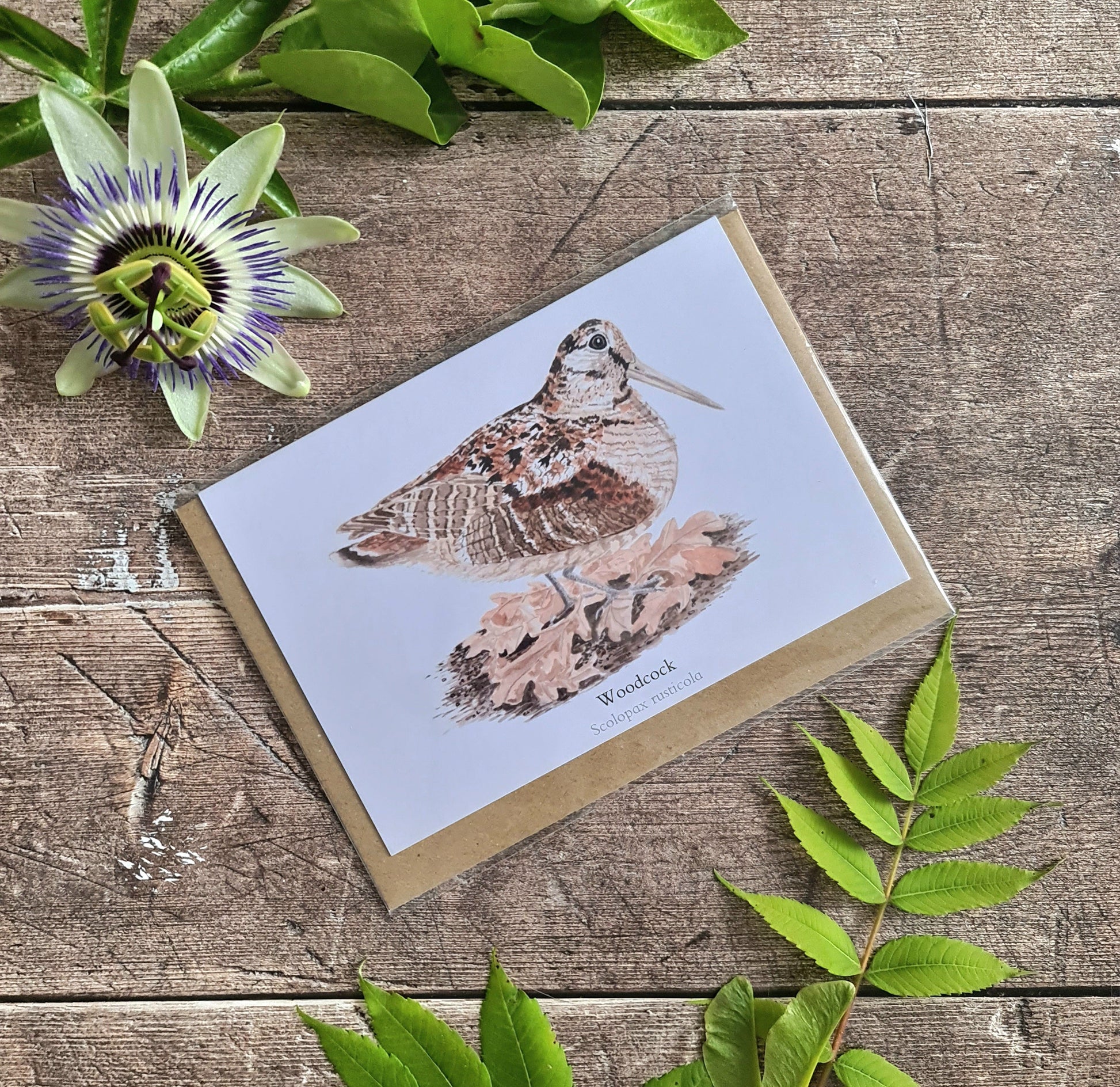 Woodcock - Greetings Card - At the Cherry Tree