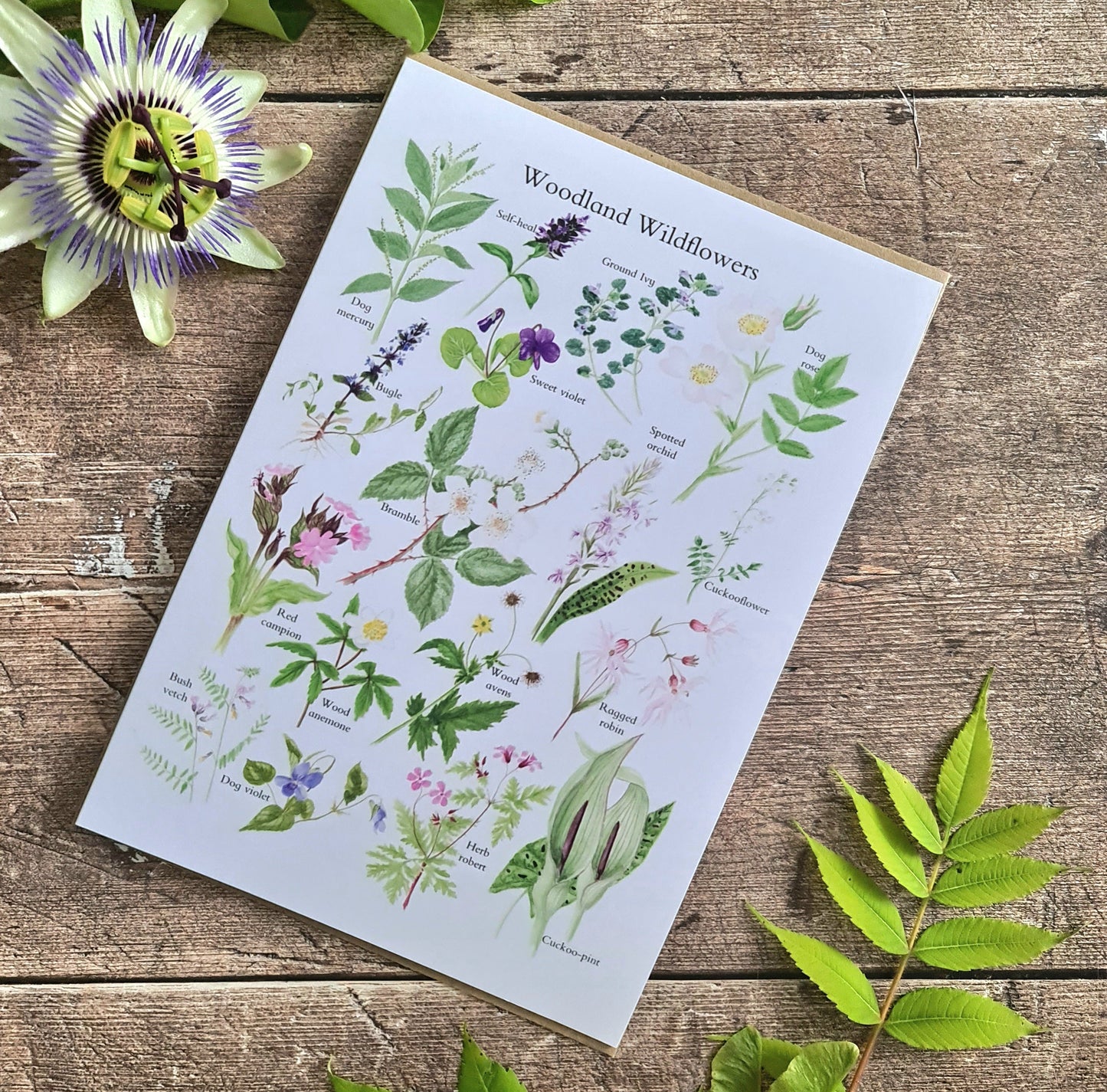 Woodland Wildflowers - Greetings Card - At the Cherry Tree