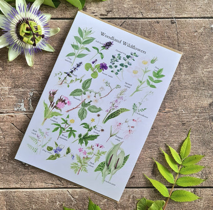 Woodland Wildflowers - Greetings Card - At the Cherry Tree