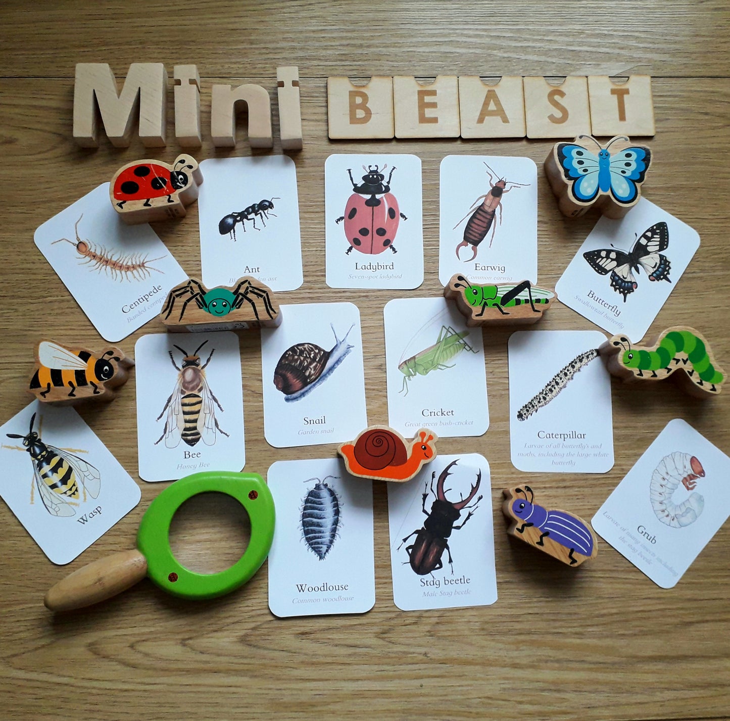 Minibeast flashcards - PDF
