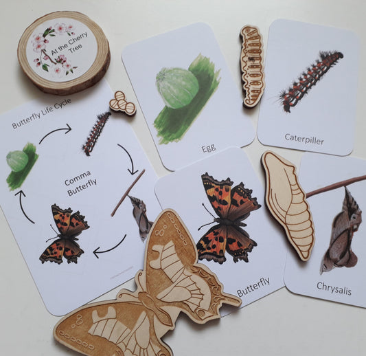 Butterfly lifecycle set - Printed