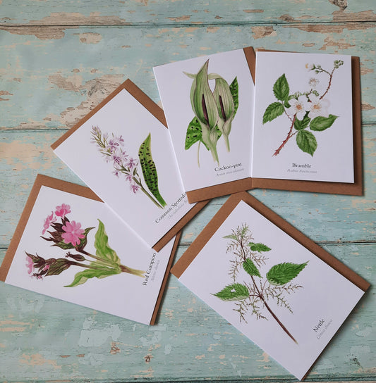 Woodland Wildflowers Greetings Card Multipack