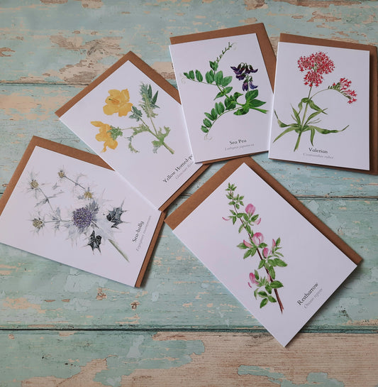 Coastal Wildflower Greetings Card Multipack