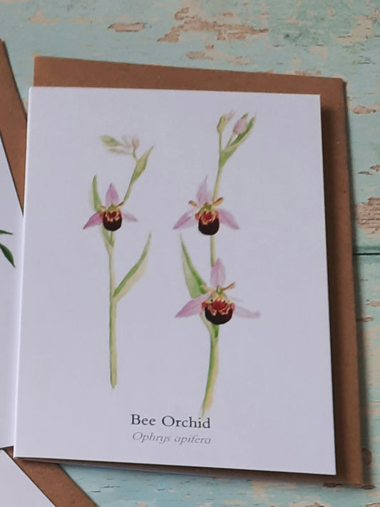 Bee Orchid Greetings Card