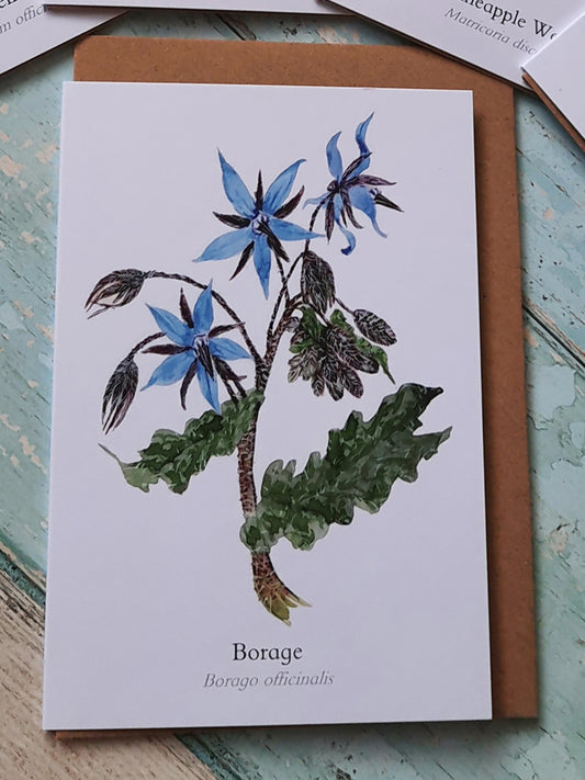 Borage Greetings Card