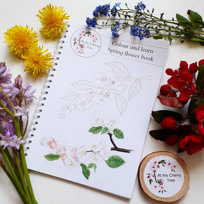 Colour and Learn - Spring flower book