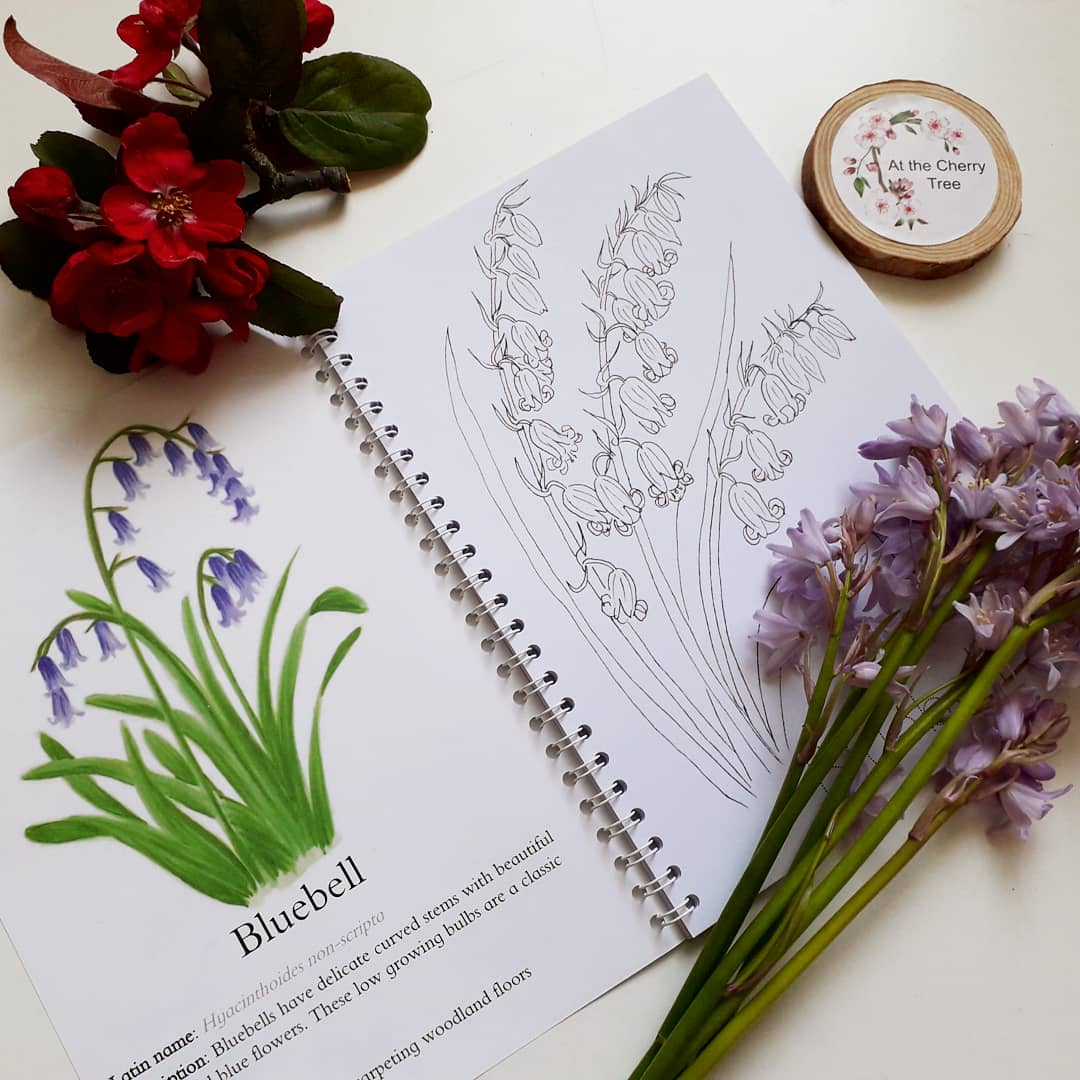 Colour and Learn - Spring flower book