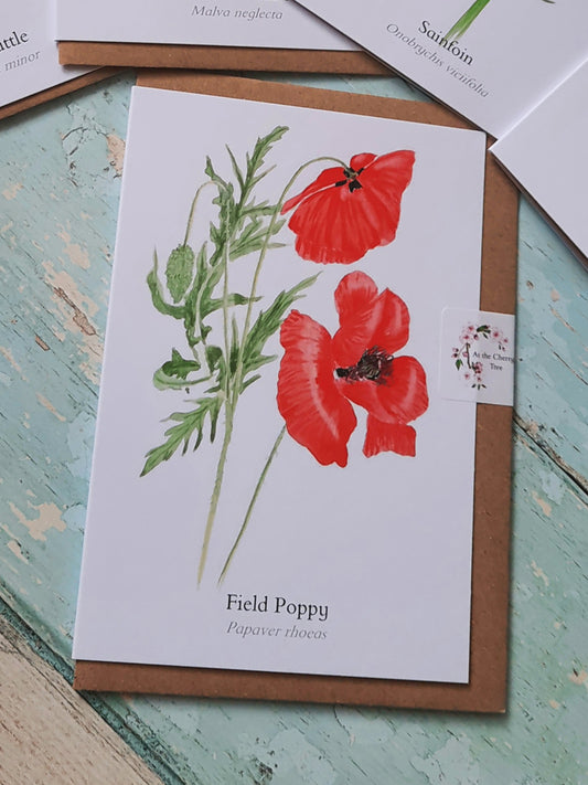 Poppy Greetings Card