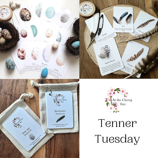Tenner tuesday eggs and feathers bundle