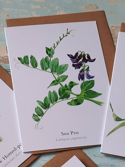 Sea Pea Greetings Card