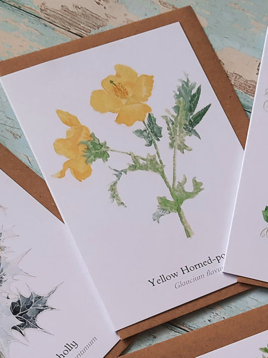 Yellow Horned-poppy - Greetings Card