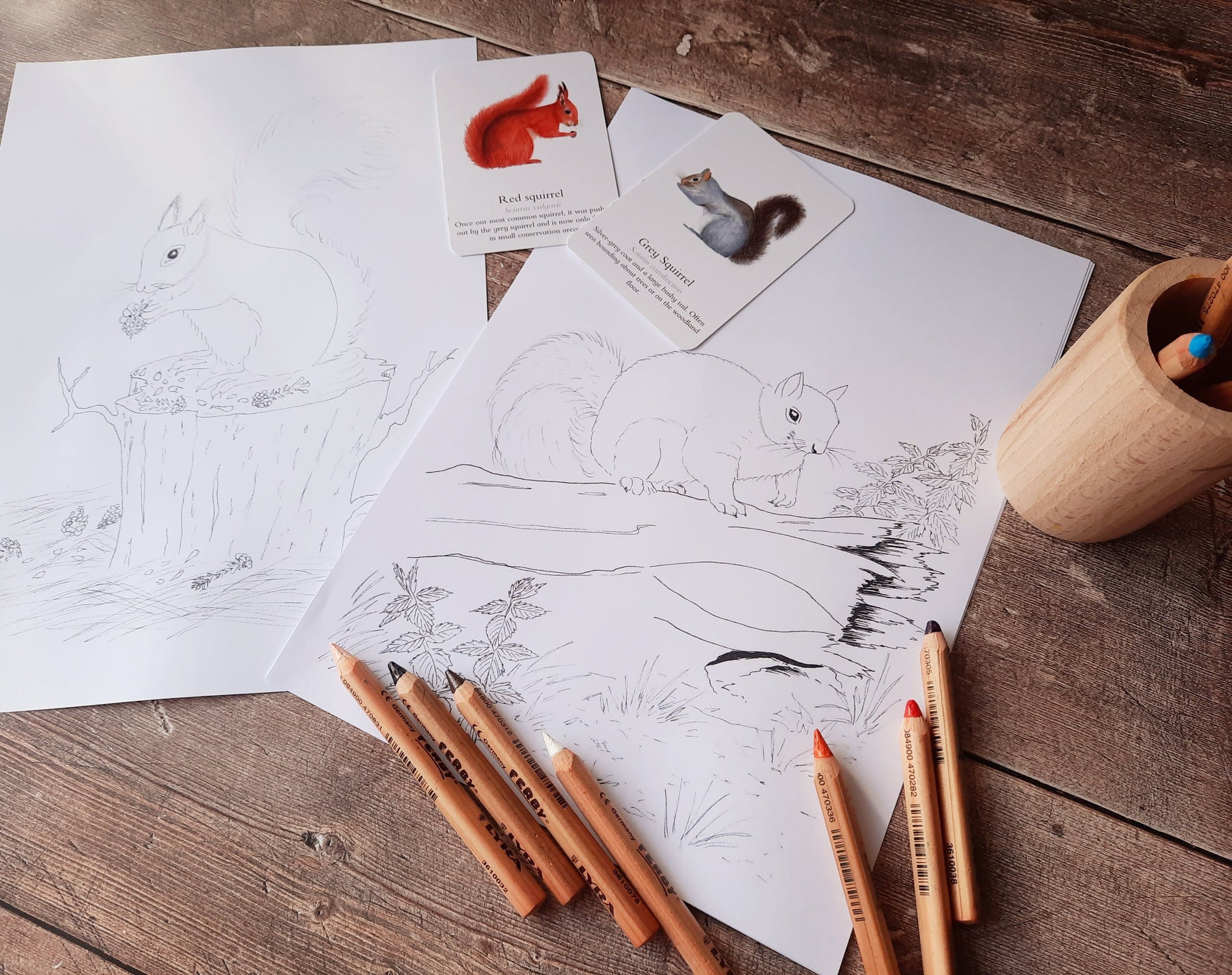 Squirrel Mini study pack pdf - At the Cherry Tree