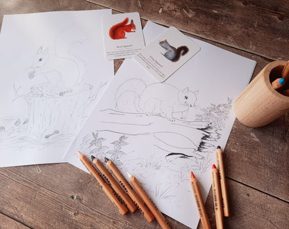 Squirrel Mini study pack pdf - At the Cherry Tree