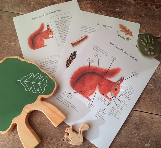 Squirrel Mini study pack pdf - At the Cherry Tree