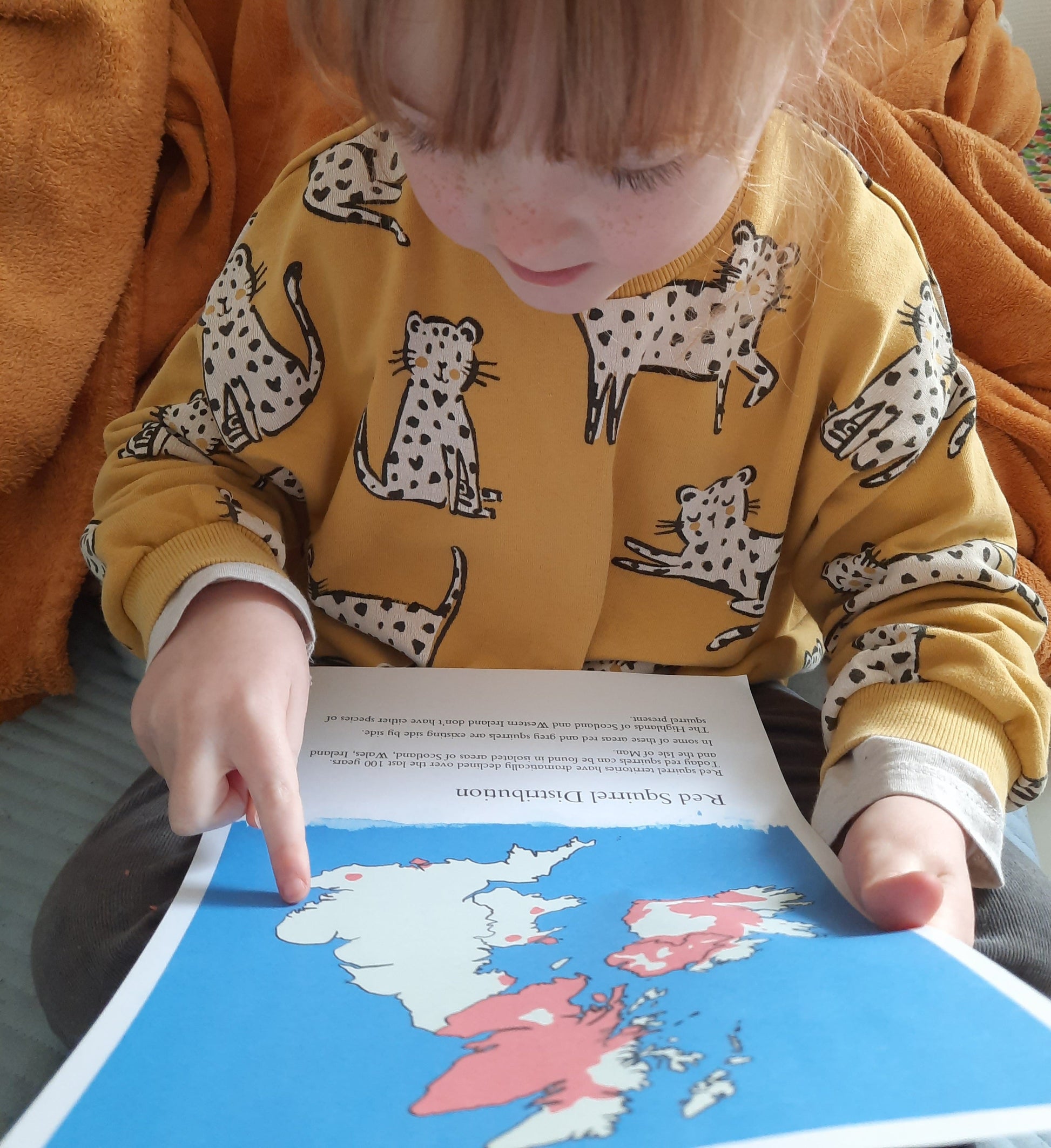 Squirrel Mini study pack pdf - At the Cherry Tree