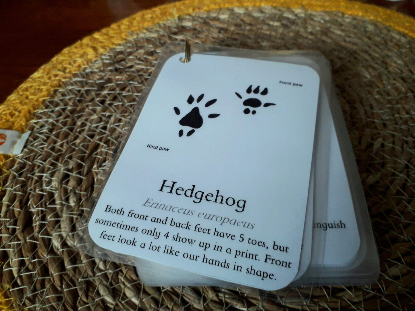 Track Identification - PDF - At the Cherry Tree