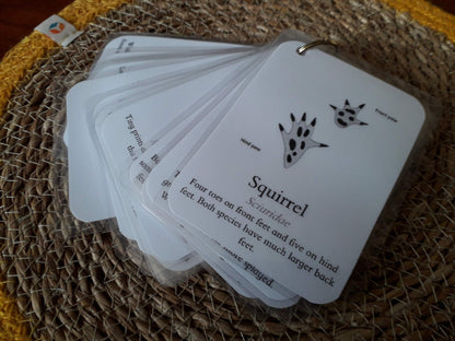 Track Identification - PDF - At the Cherry Tree