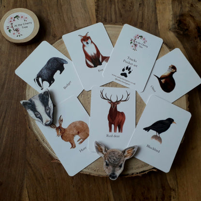 Tracks - Pocket Set - At the Cherry Tree