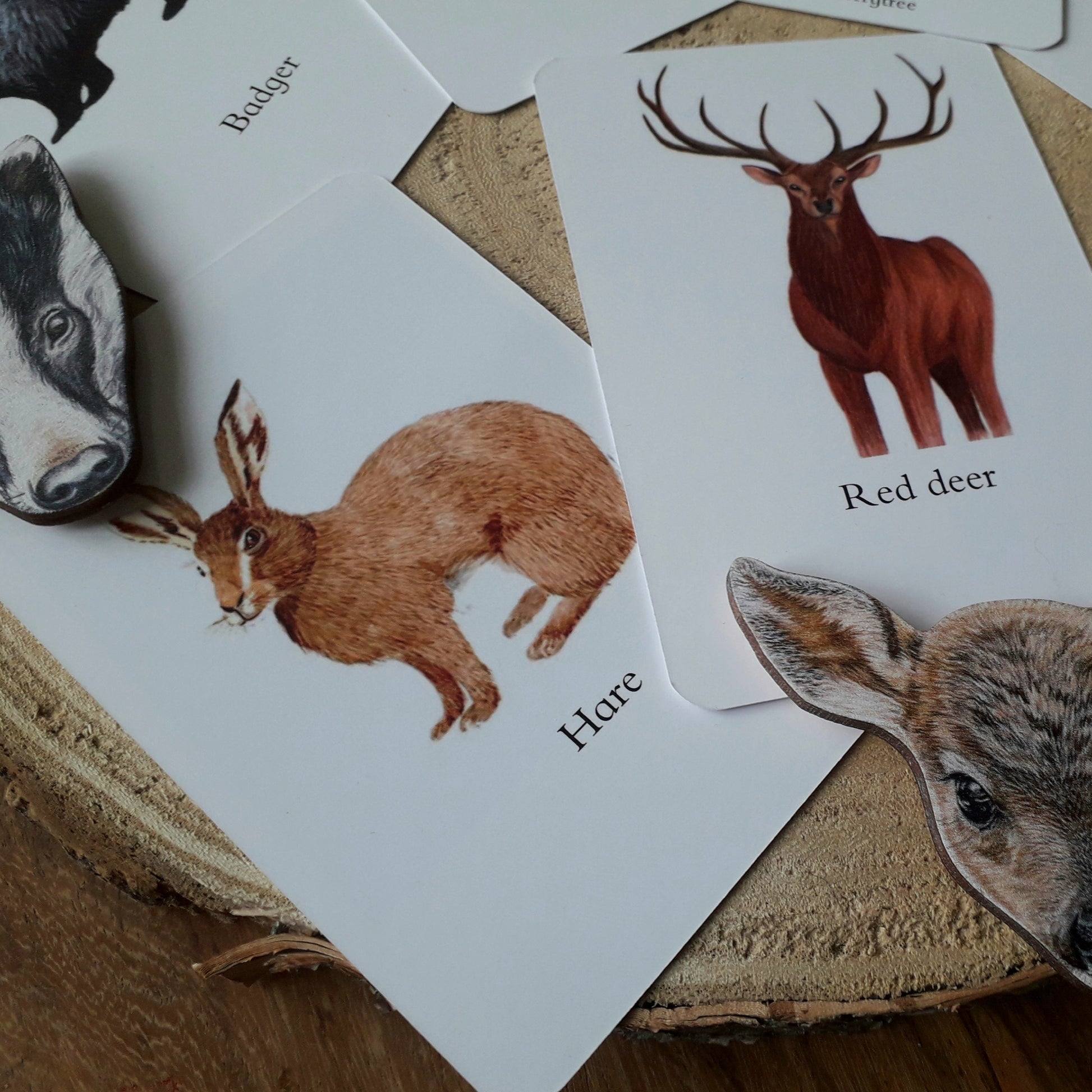 Tracks - Pocket Set - At the Cherry Tree