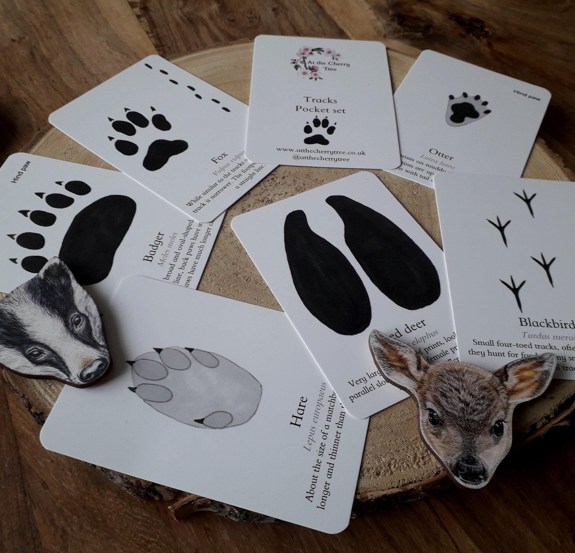 Tracks - Pocket Set - At the Cherry Tree