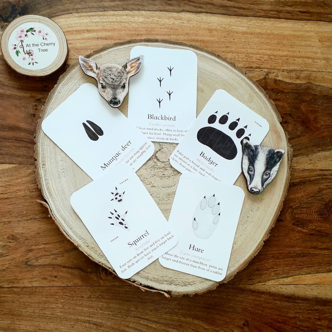 Tracks - Pocket Set - At the Cherry Tree