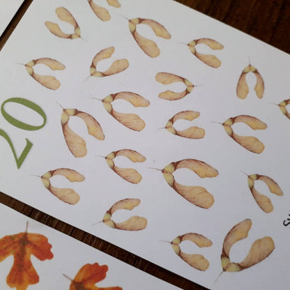 Autumn counting cards - PDF