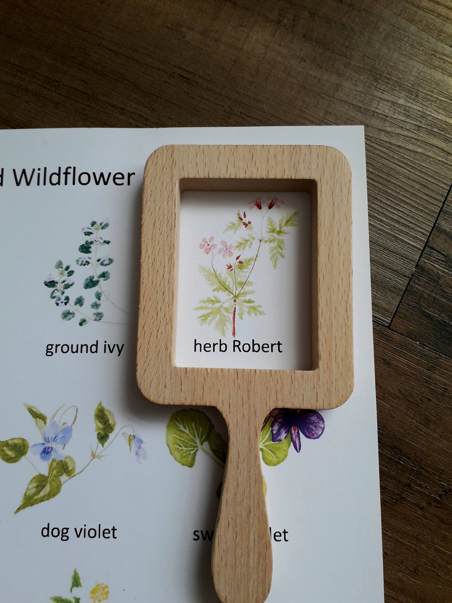 Woodland Wildflower Montessori 3 part cards - PDF