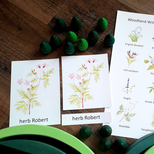 Woodland Wildflower Montessori 3 part cards - PDF