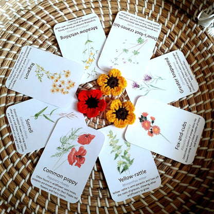 Meadow Wildflower Flashcards - PDF