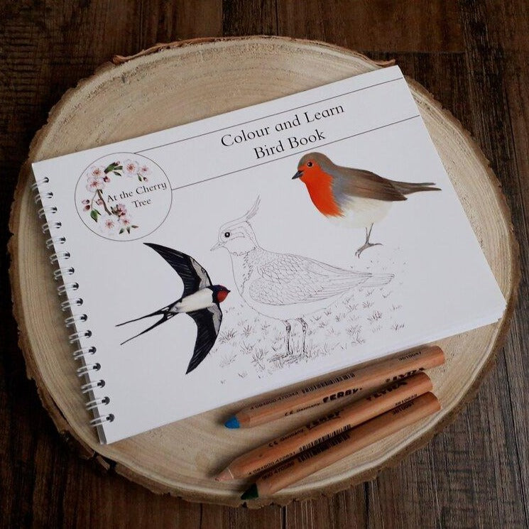 Colour and Learn Bird Book
