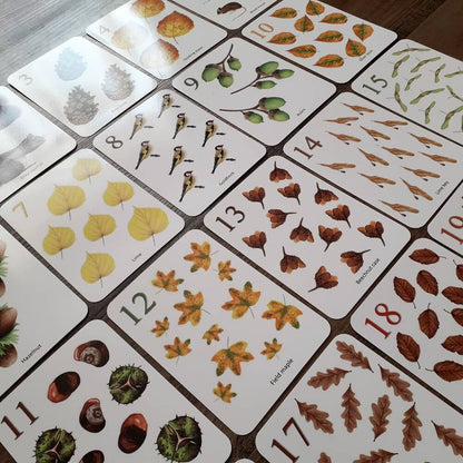Autumn Counting Cards - Printed
