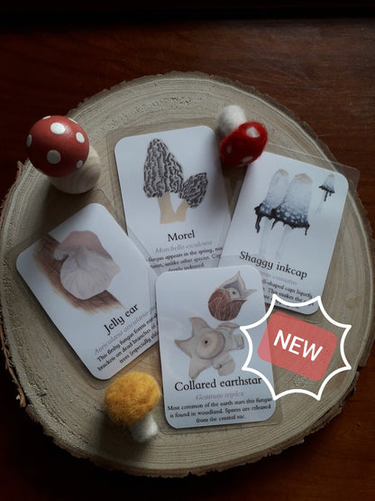 Fungus identification pocket set