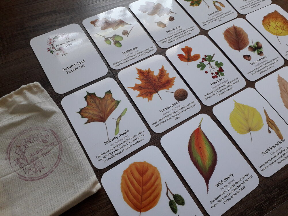 Autumn Leaf Identification - Pocket Set