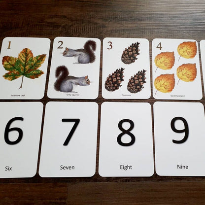 Autumn Counting Cards - Printed