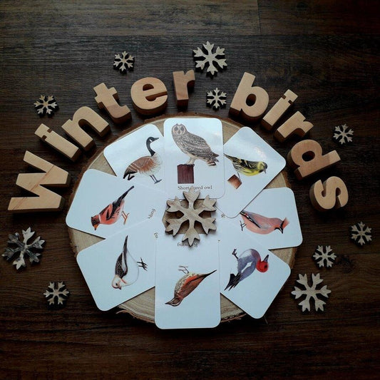Winter Migratory Bird - Pocket set