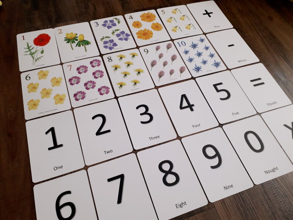 Wildflower Counting Cards - Printed
